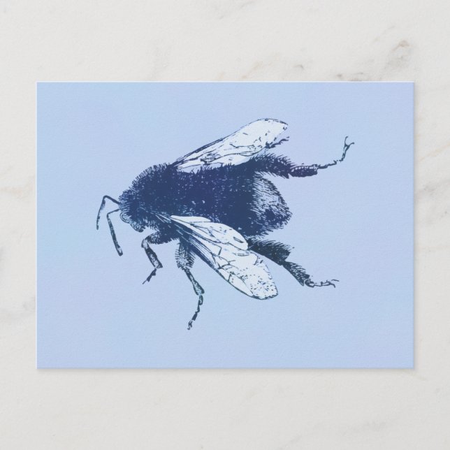 Watercolor Bumble Bee Postcard (Front)
