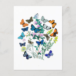 Watercolor Butterflies Flowers Spring Summer Postcard