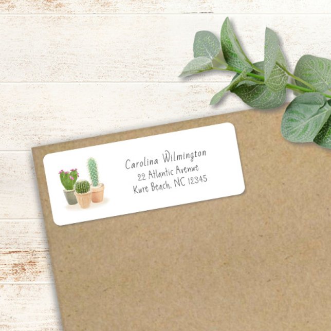 Watercolor Cactus Flower Pots Floral Succulents (Creator Uploaded)