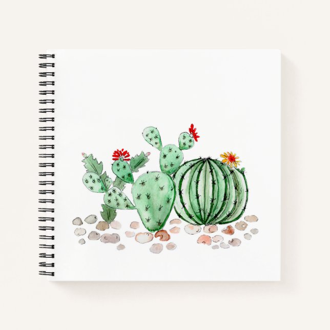 watercolor, cactus notebook (Front)