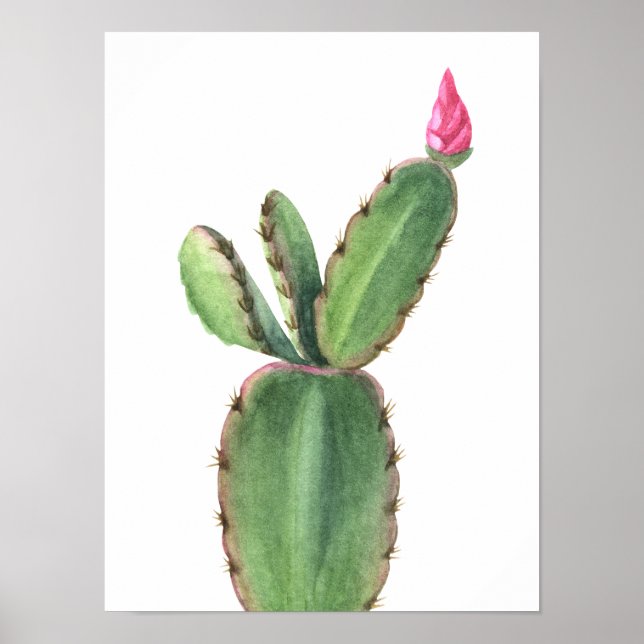 Watercolor Cactus Pink Flower  Poster (Front)