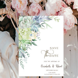 Watercolor Cactus Succulents Save The Date