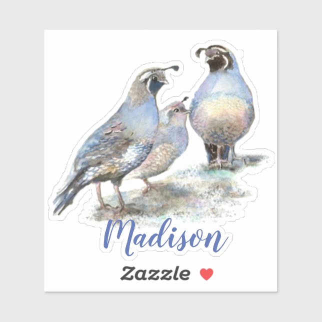 Watercolor California Quail Bird  Custom Name (Sheet)