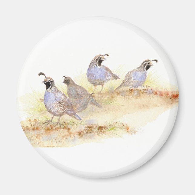 Watercolor California Quail, Bird, Nature,Animal Magnet (Front)