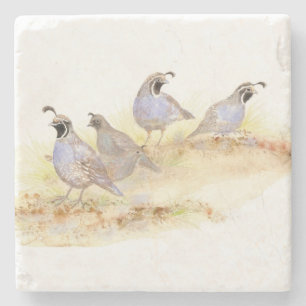 Watercolor California Quail Bird Nature art Stone Coaster