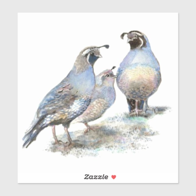 Watercolor California Quail Bird Nature Wildlife (Sheet)