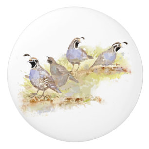 Watercolor California Quail State Bird Nature art Ceramic Knob