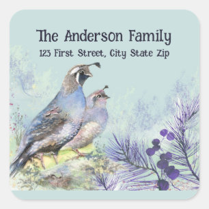 Watercolor California Quail Wildlife Bird Nature  Square Sticker