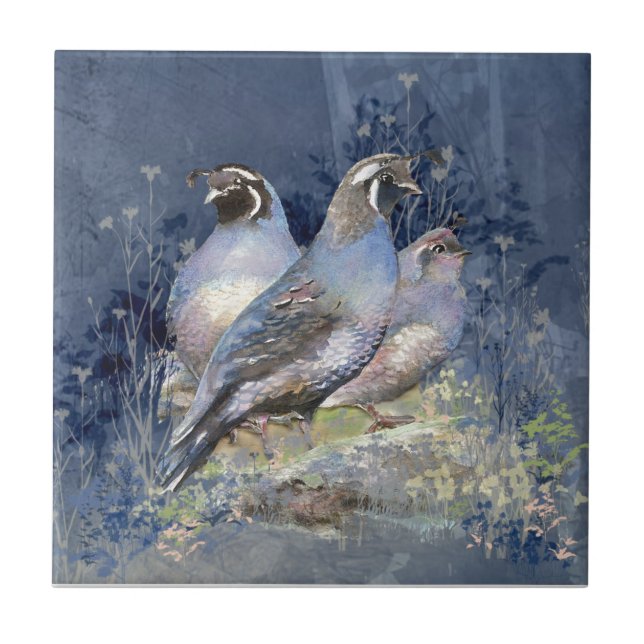 Watercolor California Quail Wildlife Bird Tile (Front)