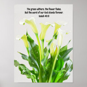 Watercolor Calla Lily Flowers Bible Verse Art Poster