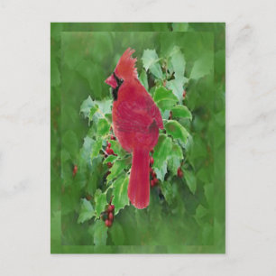 Watercolor Cardinal Bird Holly Berry Christmas Holiday Postcard