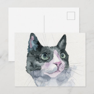Watercolor Cat Postcard