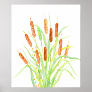 Watercolor Cattail (Typha), bulrush, seed heads Poster