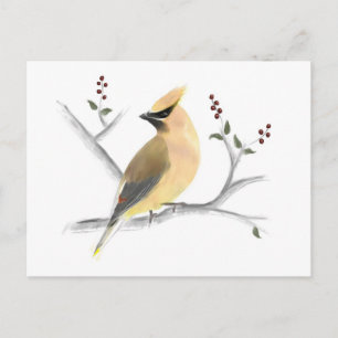 Watercolor Cedar Waxwing Postcard