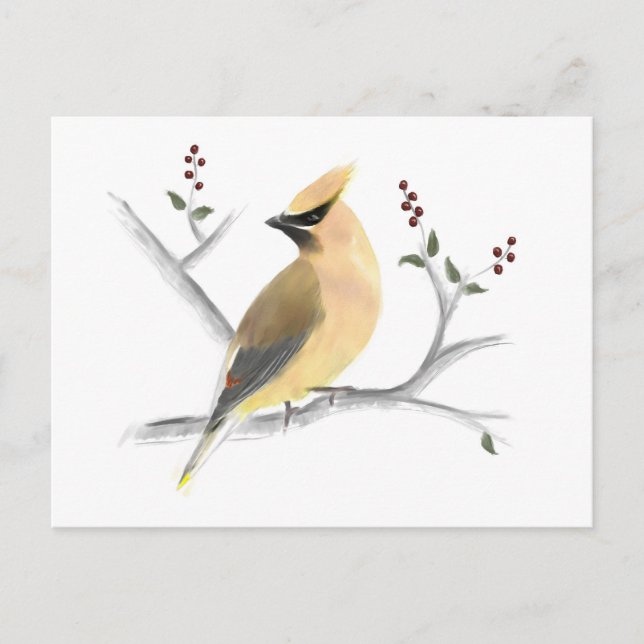 Watercolor Cedar Waxwing Postcard (Front)