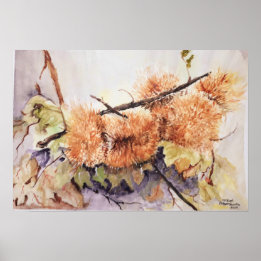 Watercolor Chesnuts hedgehog Poster