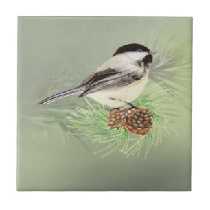 Watercolor Chickadee Bird in Pine Tree Nature art Tile