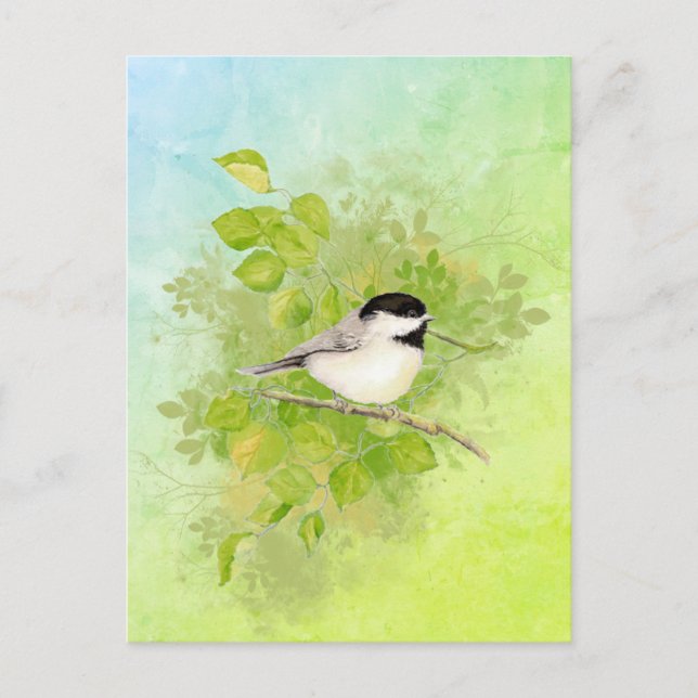 Watercolor Chickadee Bird Wildlife Nature Art  Postcard (Front)