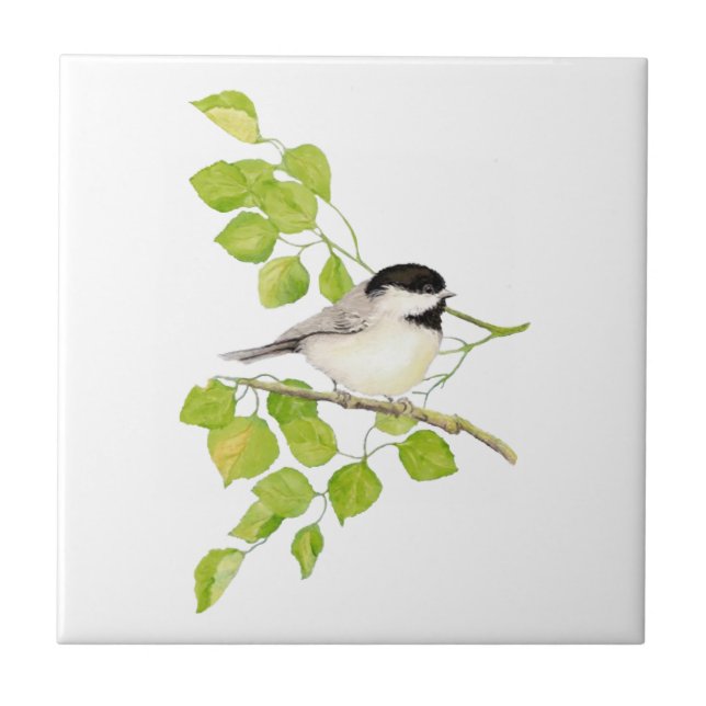 Watercolor Chickadee Poplar Tree Art Tile (Front)