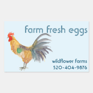 Watercolor Chicken Eggs for Sale CUSTOM Product  Rectangular Sticker