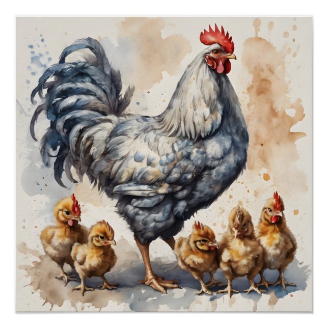 Watercolor Chicken with Chicks no 2 Poster (Front)