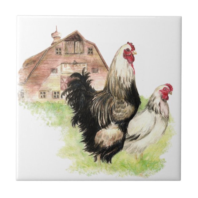Watercolor Chickens Hen & Rooster Farm Bird Art Tile (Front)