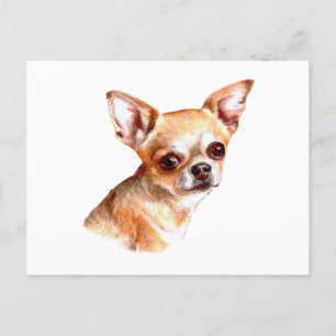 Watercolor Chihuahua Postcard