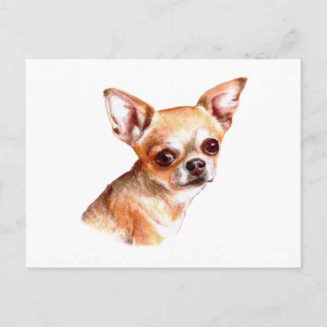 Watercolor Chihuahua Postcard (Front)