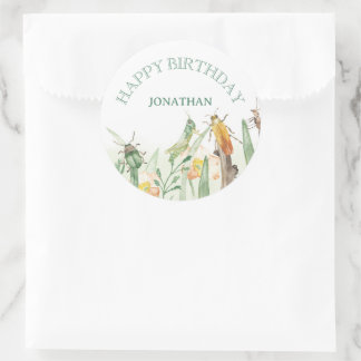 Watercolor Child's Bug Insect Birthday Classic Round Sticker