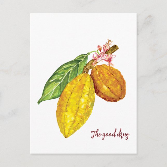Watercolor chocolate tree fruit postcard (Front)