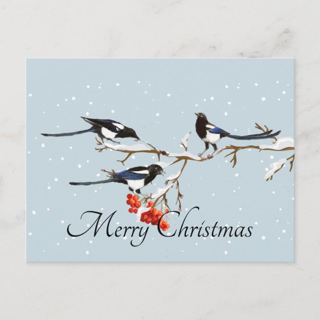 Watercolor Christmas Holly Magpie Bird Nature Art  Postcard (Front)
