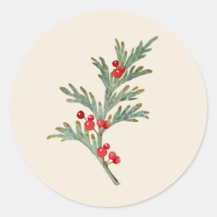 Watercolor Christmas Juniper Branch with Berries Classic Round Sticker