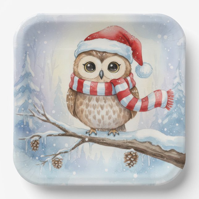 Watercolor Christmas Owl In a Santa Hat Paper Plate (Front)