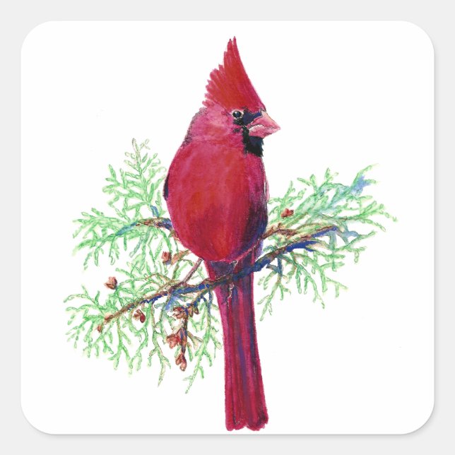 Watercolor Christmas Red Bird Cardinal Square Sticker (Front)