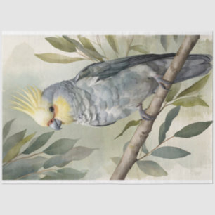 Watercolor Cockatiel Eucalyptus Tree Decoupage Tissue Paper
