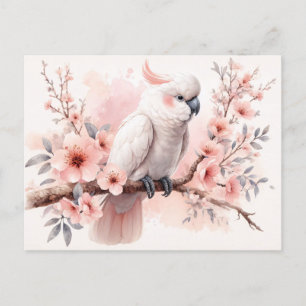 Watercolor Cockatoo and Pink Flowers Postcard