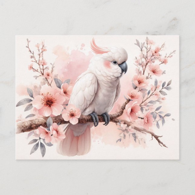 Watercolor Cockatoo and Pink Flowers Postcard (Front)