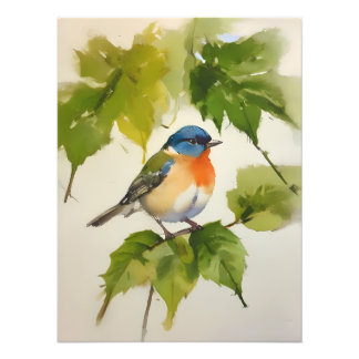 Watercolor Colourful Bird Art - Hand-Painted Photo Print