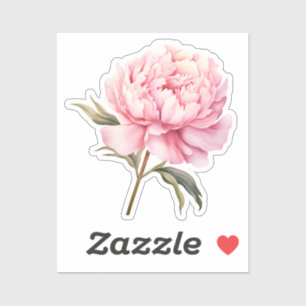 Watercolor Coquette Elements