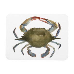 Watercolor Crab - Grey Magnet