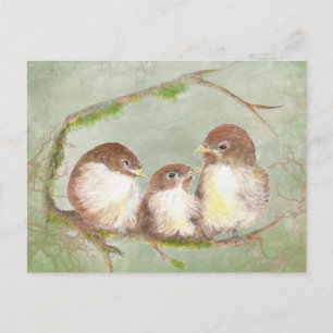 Watercolor Cuddling Sparrow Bird Family Nature Postcard