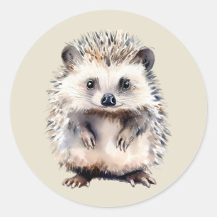 Watercolor Cute Hedgehog Wild Animal Art Classic Round Sticker