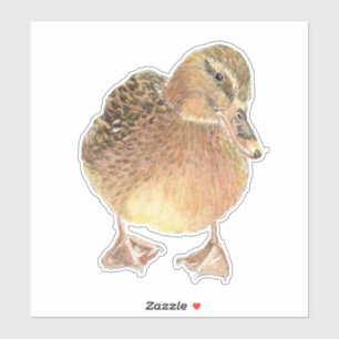 Watercolor Cute Little Farm Animal Duck Bird