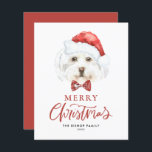 Watercolor Cute Maltese Santa Merry Christmas Card<br><div class="desc">Merry Christmas! Send your holiday wishes to family and friends with this customisable Christmas card. It features a watercolor Maltese dog wearing a Santa hat. Personalise this dog Christmas card by adding your details. This Maltese dog Christmas card is available on other cardstock. Matching items are available.</div>