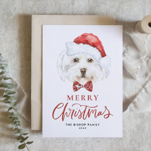 Watercolor Cute Maltese Santa Merry Christmas Holiday Card