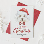 Watercolor Cute Maltese Santa Merry Christmas Holiday Card<br><div class="desc">Merry Christmas! Send your holiday wishes to family and friends with this customisable Christmas card. It features a watercolor Maltese dog wearing a Santa hat. Personalise this cute Christmas card by adding your details. This Maltese dog Christmas card is available on other cardstock. Matching items are available.</div>