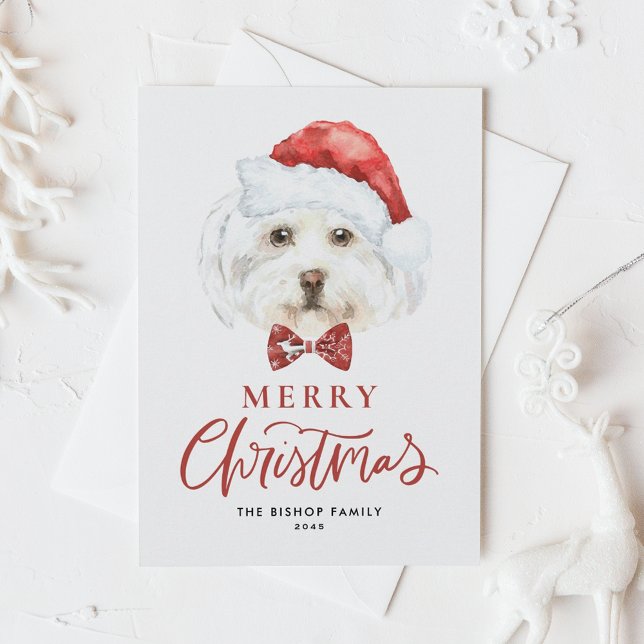 Watercolor Cute Maltese Santa Merry Christmas Holiday Postcard (Creator Uploaded)