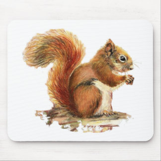 Watercolor Cute Red Squirrel Animal Nature Mouse Mat