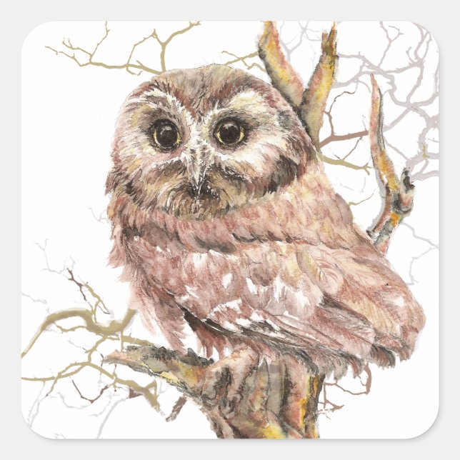Watercolor Cute Saw Whet Owl, Bird Square Sticker (Front)