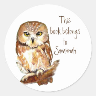 Watercolor Cute Saw Whet Owl Book Plate Classic Round Sticker